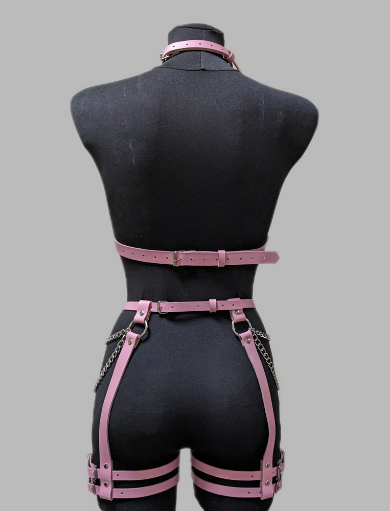 Рожевий комплект гартери портупеї жіночий на все тіло 2004r - Шкіра, потрібна допомога 2004r2 фото